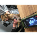 Hand tragbarer kompakter tragbarer Tierarzt Ultraschallmaschine / Veterinärprodukte / Diagnosegerät für Bauernhof / Klinik